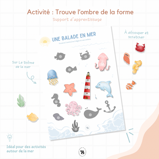Activité : Trouves mon ombre
